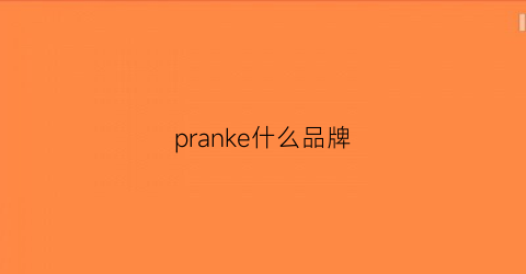 pranke什么品牌(pramyprok是什么牌子)