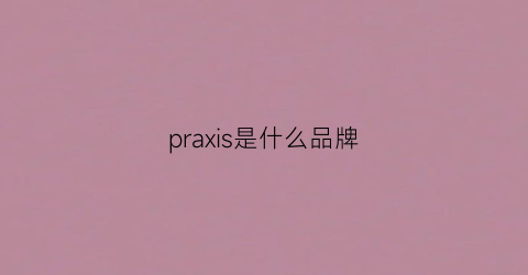 praxis是什么品牌(praj是什么品牌)