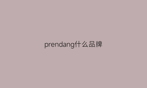 prendang什么品牌(precisona是什么牌子)