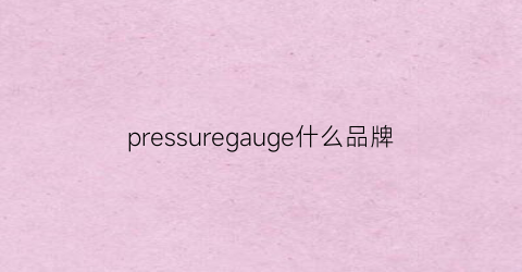 pressuregauge什么品牌(pressure牌子)