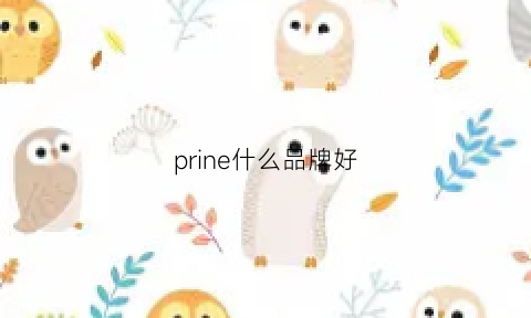 prine什么品牌好(prr品牌)