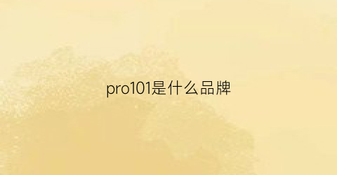 pro101是什么品牌(pro是啥牌子)