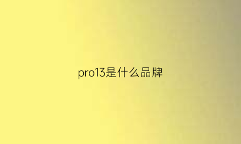 pro13是什么品牌