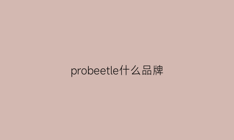 probeetle什么品牌(probee是什么牌子)