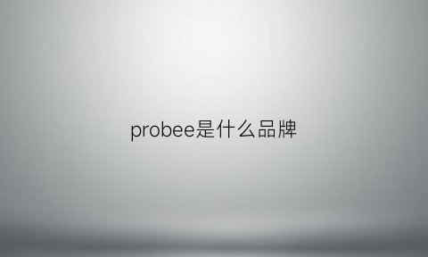 probee是什么品牌(probee是什么牌子)