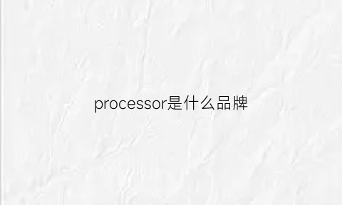 processor是什么品牌(processowner是什么意思)