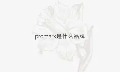 promark是什么品牌(promare是什么)