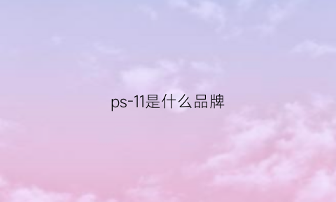 ps-11是什么品牌