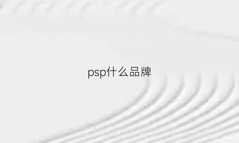 psp什么品牌(PSP什么品牌好)