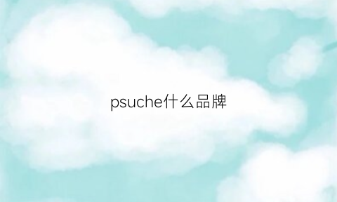 psuche什么品牌(pso是什么品牌)