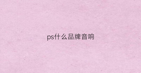 ps什么品牌音响