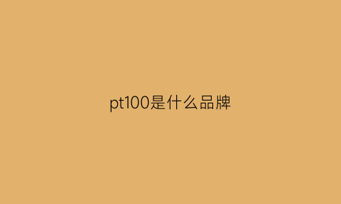 pt100是什么品牌