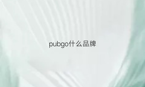 pubgo什么品牌