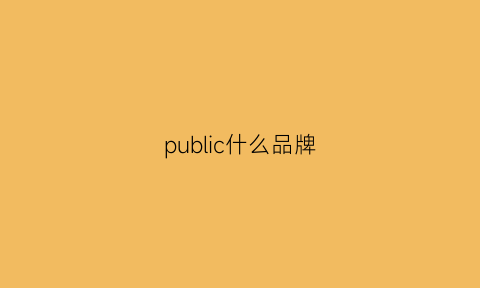 public什么品牌(publicrecord是什么牌子)