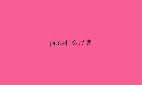 puca什么品牌(pucca是品牌吗)