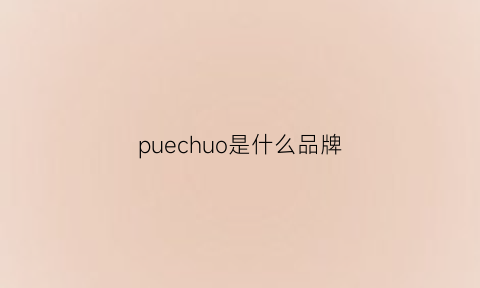 puechuo是什么品牌