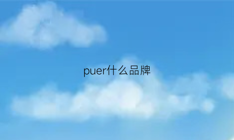 puer什么品牌