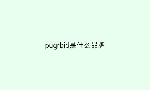 pugrbid是什么品牌