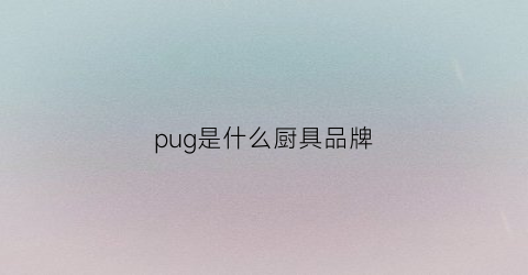 pug是什么厨具品牌(ppg是什么品牌)