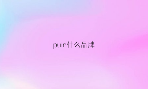 puin什么品牌