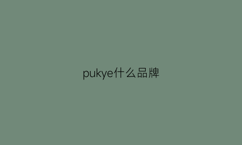 pukye什么品牌