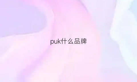 puk什么品牌