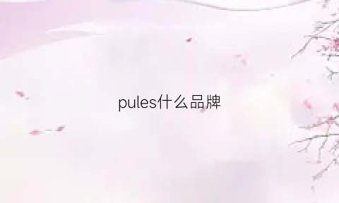 pules什么品牌(puscyle是什么牌子)