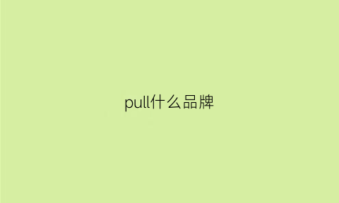 pull什么品牌(pulse是什么品牌)