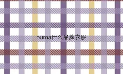 puma什么品牌衣服(puma是什么品牌服装)