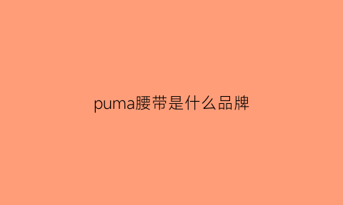 puma腰带是什么品牌(puma腰包)