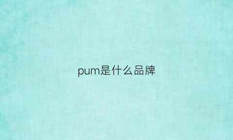 pum是什么品牌(puma是哪个国家的品牌)