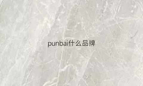 punbai什么品牌(puwn什么牌子)