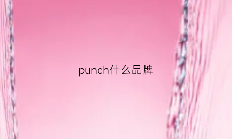 punch什么品牌