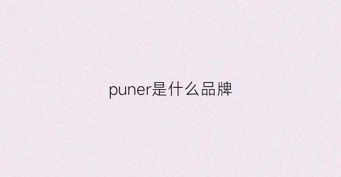 puner是什么品牌(pun是什么牌子)