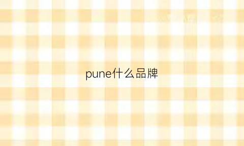 pune什么品牌(punos是什么品牌)