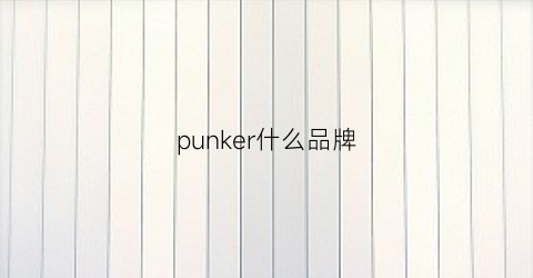 punker什么品牌(punker什么意思)