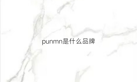 punmn是什么品牌