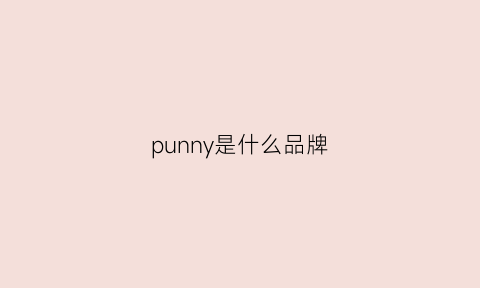 punny是什么品牌(punning是什么牌子)