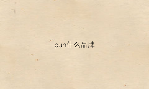 pun什么品牌