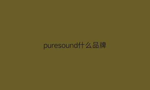 puresound什么品牌(pure是什么品牌)