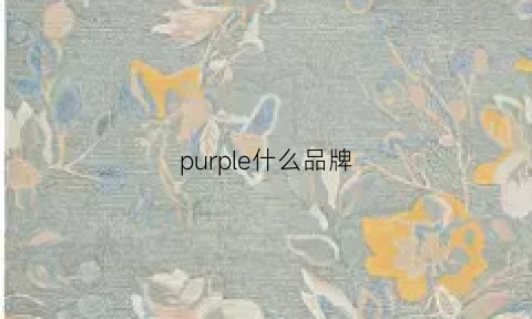 purple什么品牌(purplebrand品牌)