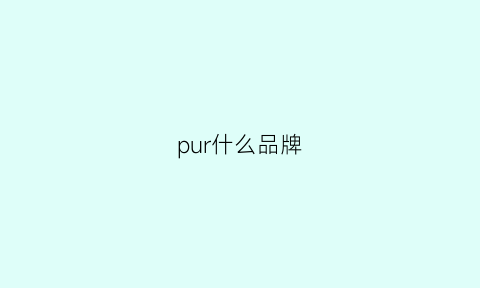 pur什么品牌