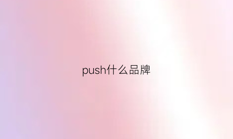 push什么品牌(pushpuppies什么品牌)