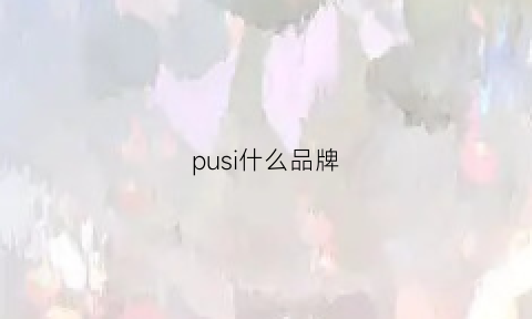 pusi什么品牌(puwuos是什么牌子)