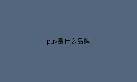 puv是什么品牌(pur是什么牌子)