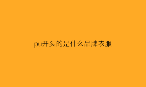 pu开头的是什么品牌衣服(pu开头的鞋子品牌)