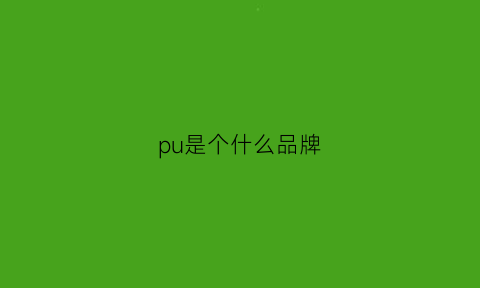 pu是个什么品牌(puppies是什么牌子)