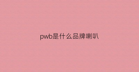 pwb是什么品牌喇叭(punch是什么牌子喇叭)