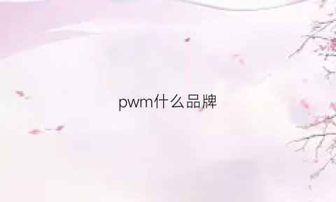 pwm什么品牌