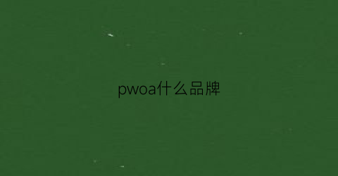 pwoa什么品牌(wp品牌)